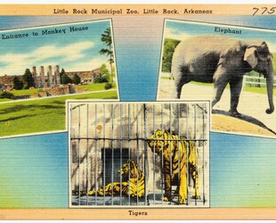 LITTLE ROCK ZOO